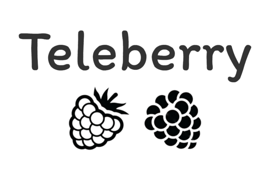 Teleberry Kft logo